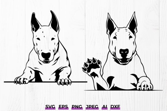 Bull Terrier Peeking Dog SVG Design Review