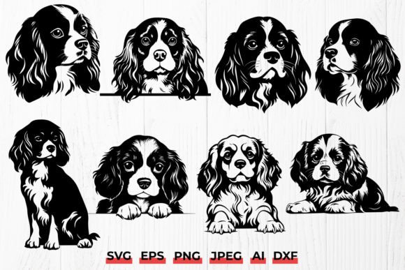 Cavalier King Charles Spaniel Dog SVG