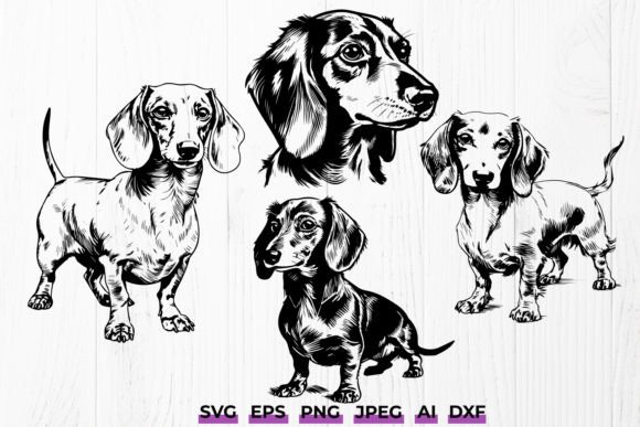 Dachshund Sausage Dog SVG Bundle: A Hands Review