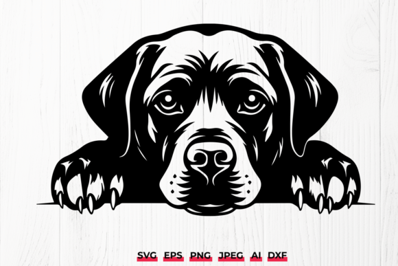 Peeking Black Labrador Retriever SVG: Hands-On Design Test